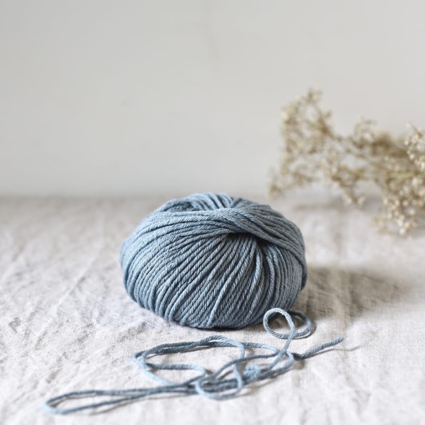 Pénélope penelope brume