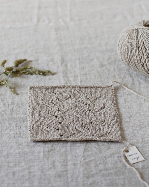 candide nougat nuagt próbka de rerum natura